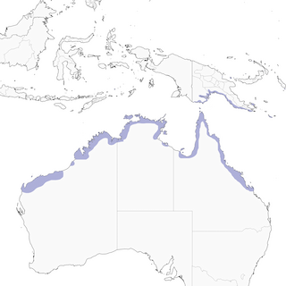Distribution of the Black-tailed Whistler - Range Map