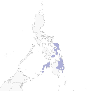 Distribution of the Philippine Jungle Flycatcher - Range Map