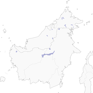 Distribution of the Crocker Jungle Flycatcher - Range Map