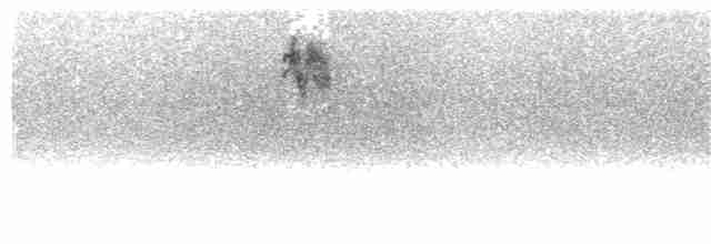 Euli-txori grisa - ML62488871