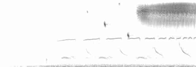 Кузнечиковая овсянка-барсучок - ML62504491
