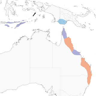 Distribution of the Australian Spectacled Monarch - Range Map