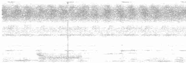  - Black-breasted Barbet