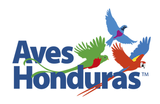 Aves Honduras