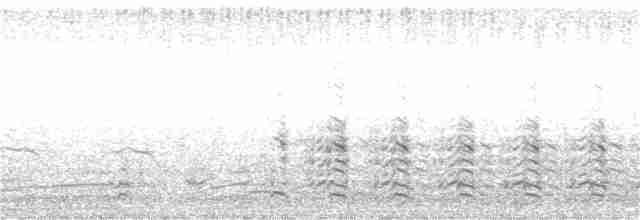 Kara Sırtlı Martı (graellsii) - ML62559811