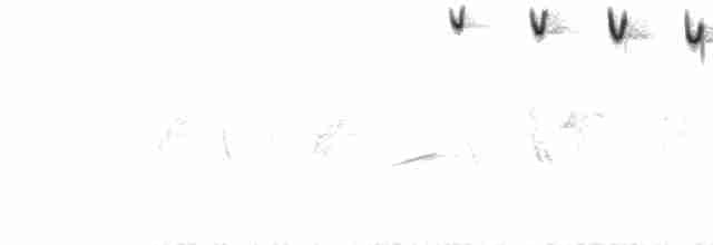  - Brooks's Leaf Warbler