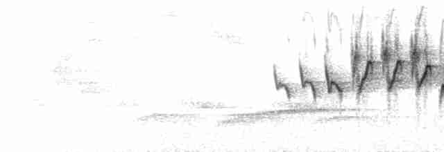  - Pink-headed Warbler