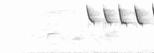  - Pink-breasted Flowerpecker