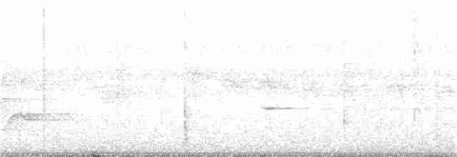 Розовогорлая пиранга - ML62621521