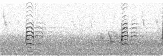 tenkozobec hnědohlavý - ML62652191