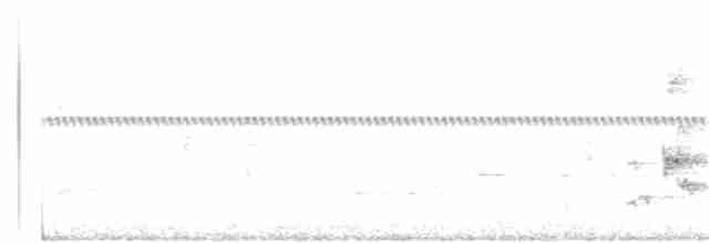 Пересмішник сірий - ML62662651