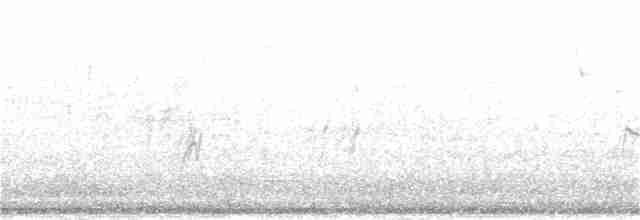 Western Black-eared Wheatear - ML62663431