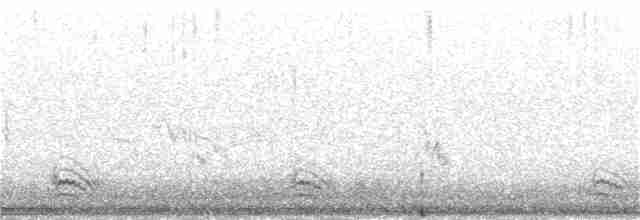 Pin-tailed Sandgrouse - ML62664811