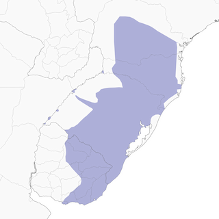 Distribution of the Mottled Piculet - Range Map