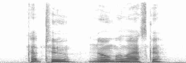 Çukçen Kuyruksallayanı (tschutschensis/plexa) - ML62684