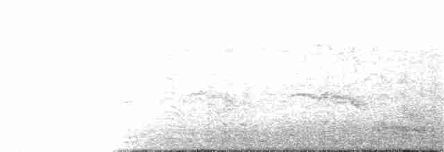 Snow Petrel - ML62691481