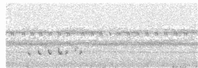 Buff-collared Nightjar - ML62712581