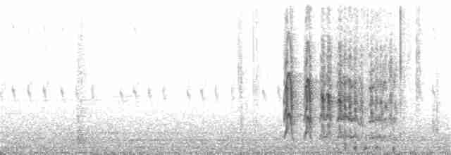 Американский трёхпалый дятел (dorsalis) - ML62718801