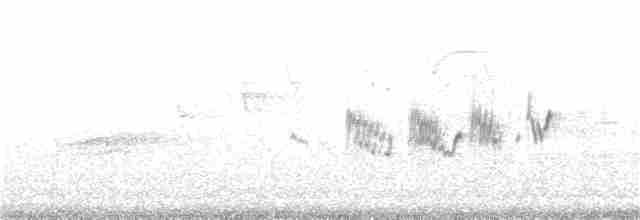 Cerulean Warbler - ML62748111