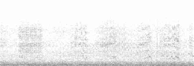Woodchat Shrike - ML62782211