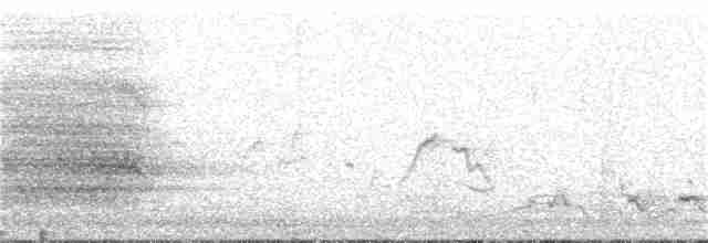kakadu havraní - ML62822211