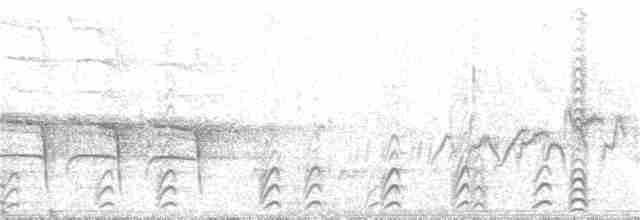 Сероголовая яху - ML62824021