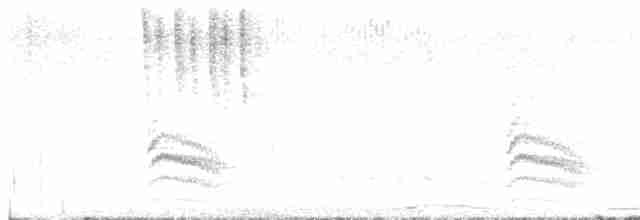 Trepador Pechiblanco (aculeata/alexandrae) - ML62839131