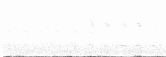 Дятел-смоктун червоноголовий - ML62895581