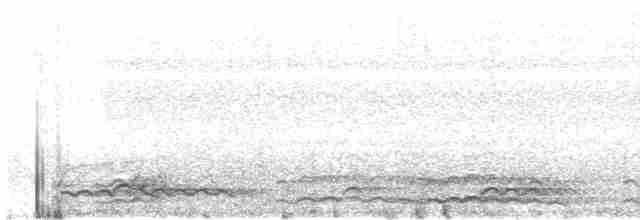 Гагара полярна - ML62928401