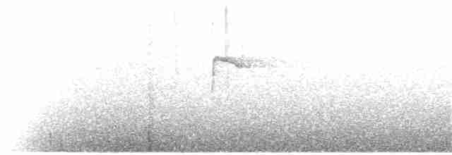 Puna Thistletail - ML62952841