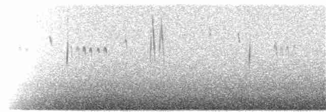 Светлокрылая трясохвостка - ML62954971