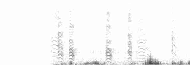 クロハサミアジサシ - ML63015011