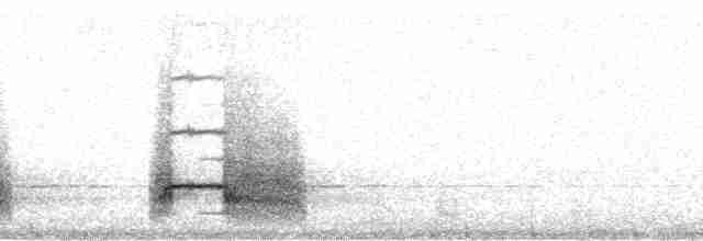 Дятел-смоктун сосновий - ML63057