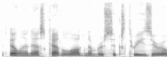 Дятел-смоктун сосновий - ML63065