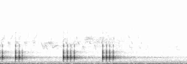Kiefernsaftlecker - ML63069