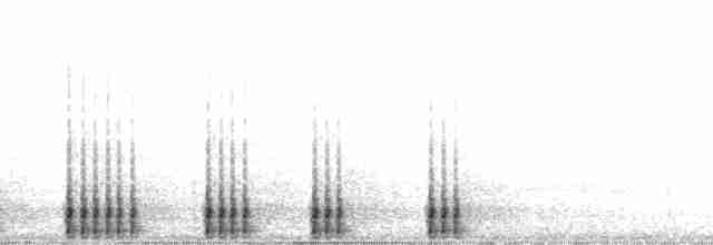 Дятел-смоктун сосновий - ML63070