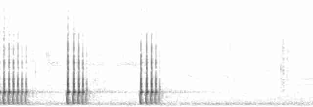 Дятел-смоктун сосновий - ML63074