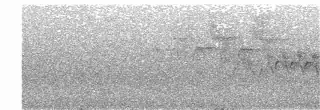 Cerulean Warbler - ML63074681