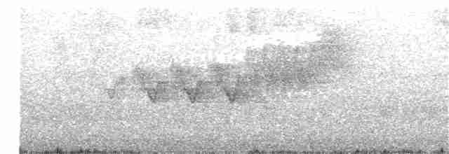 Cerulean Warbler - ML63074761