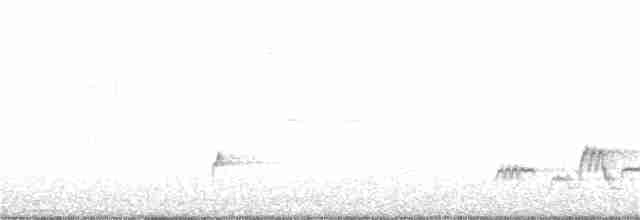 Дрізд-короткодзьоб Cвенсона - ML63088441