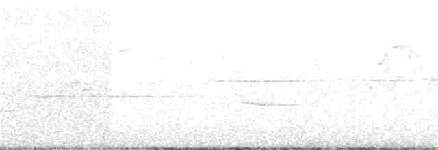 lesňáček modrohřbetý - ML63088791
