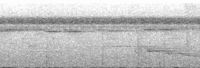 Lacivert Kuyruklu Trogon - ML63150