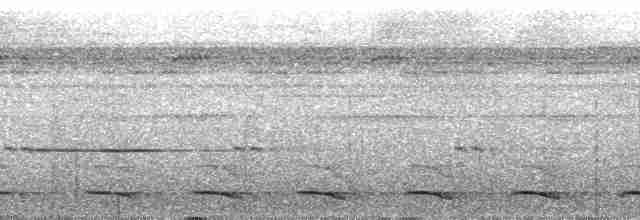 Lacivert Kuyruklu Trogon - ML63152