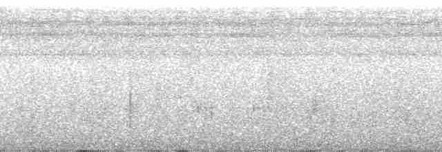 Weißkehl-Ameisenvogel - ML63158