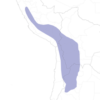 Distribution of the Puna Ground-Tyrant - Range Map