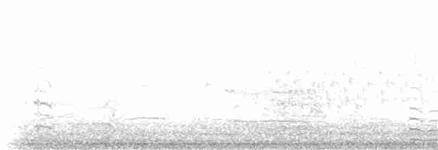 střízlík bažinný [skupina palustris] - ML63170211