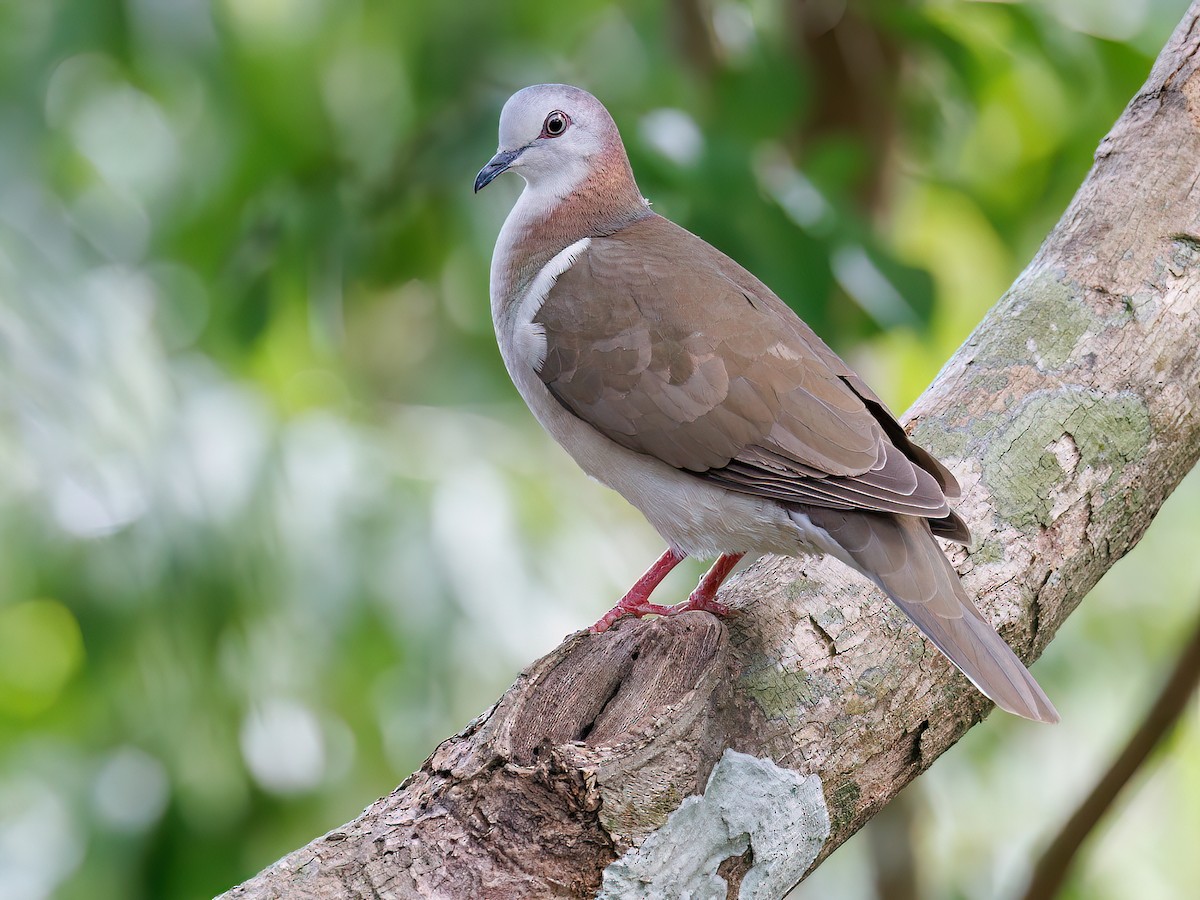 A moment of pure abandon