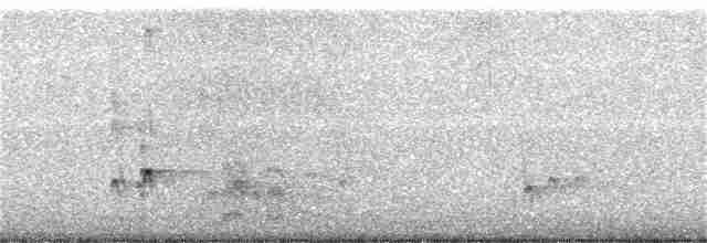 Gri Boğazlı Sinekkapan - ML63252431