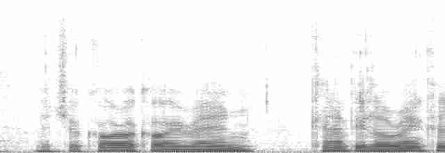 Çizgili Sırtlı Çıtkuşu - ML63267