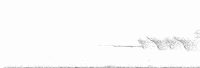Bruant à couronne blanche (oriantha) - ML63267371